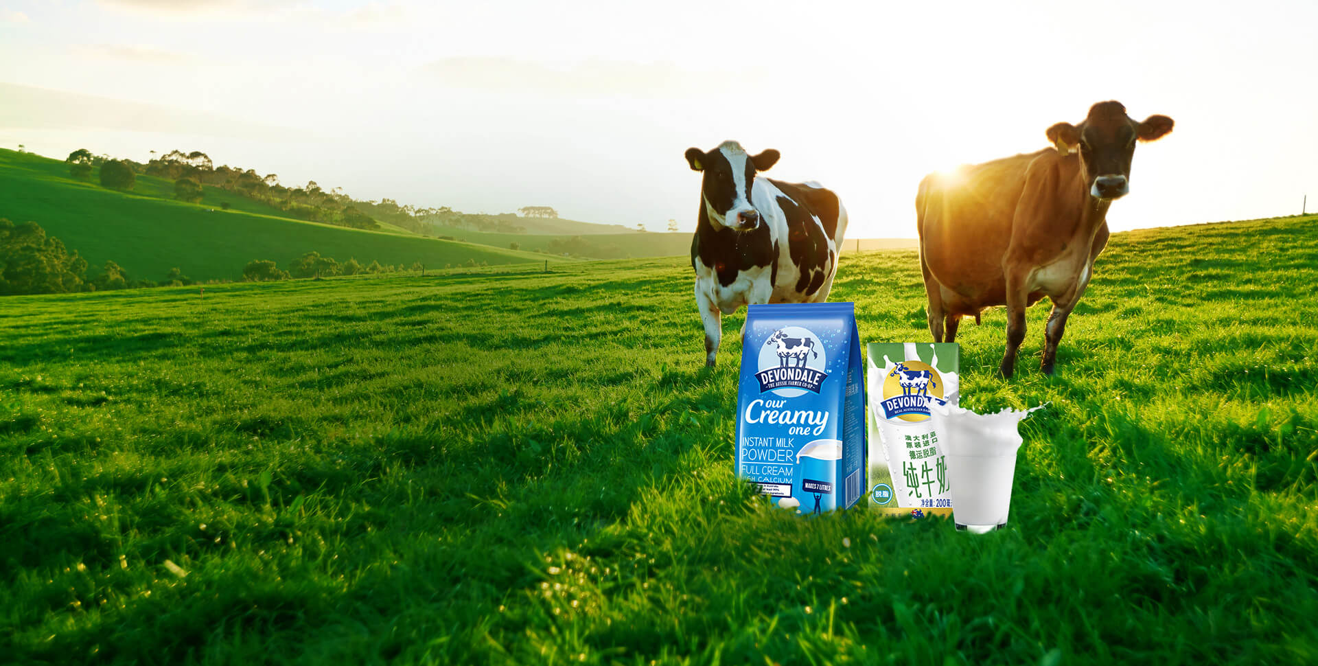 上海網站建設|網站制作|網站設計-逐鹿科技_傾匠心設計_建精致網站